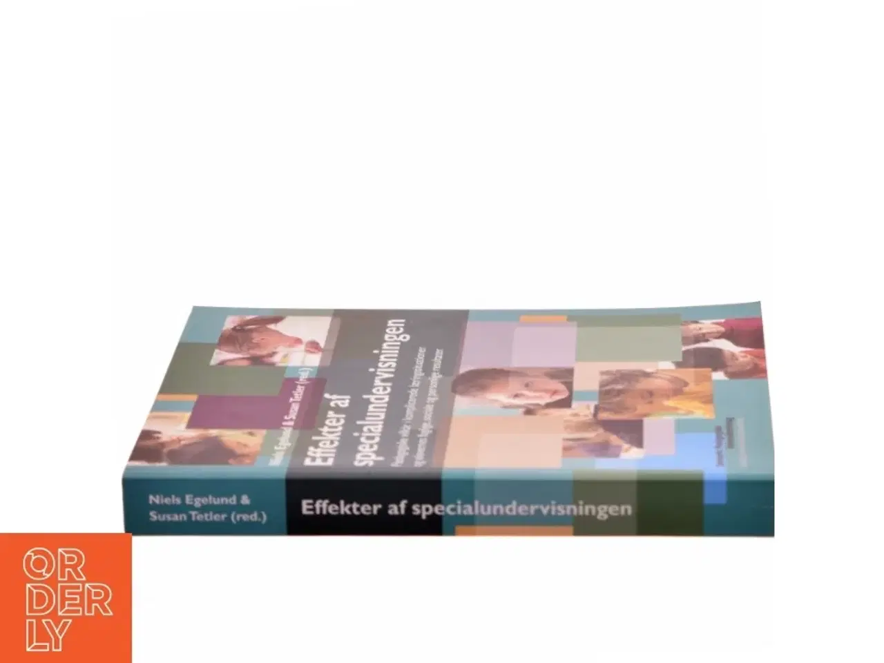 Billede 2 - Effekter af specialundervisningen : pædagogiske vilkår i komplicerede læringssituationer og elevernes faglige, sociale og personlige re