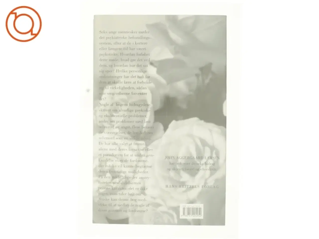 Billede 2 - Sindets labyrinter af John Aggergaard Larsen (Bog)