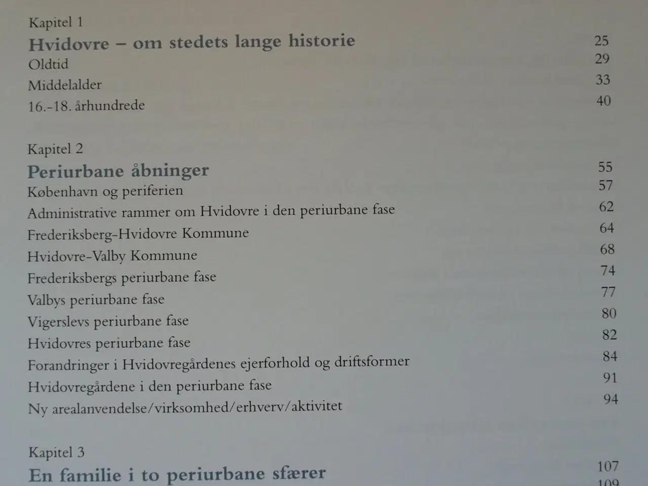 Billede 2 - vejene til hvidovre - om den periurbane udvikling 