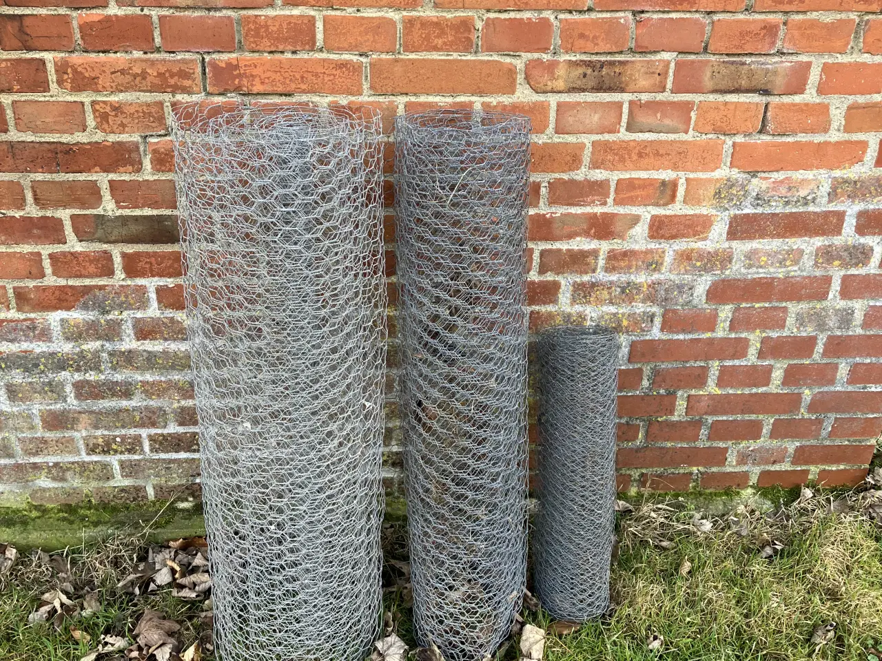 Billede 1 - Hønse/kyllingetråd