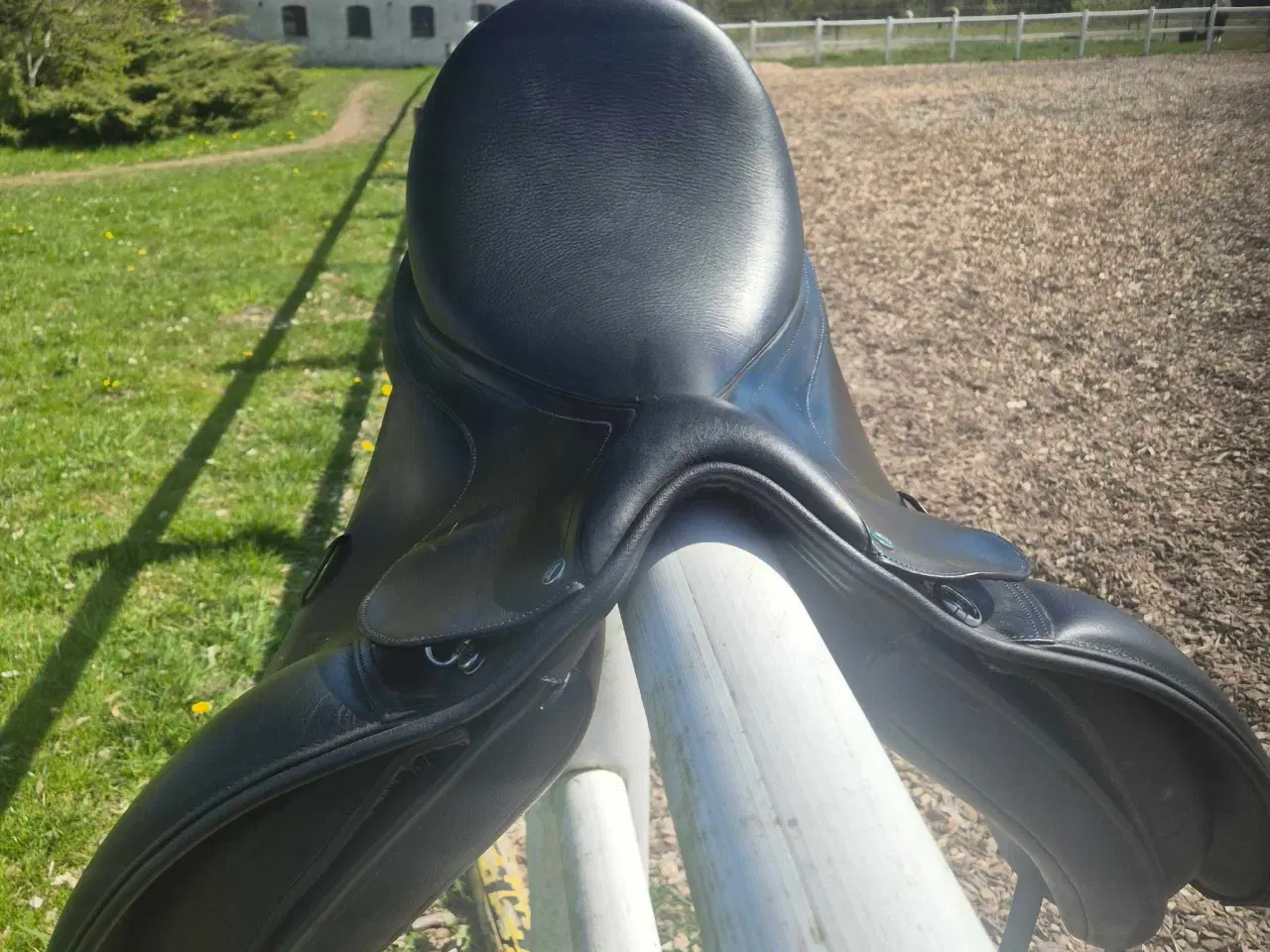 Billede 1 - Bates arena high wither 171/2"