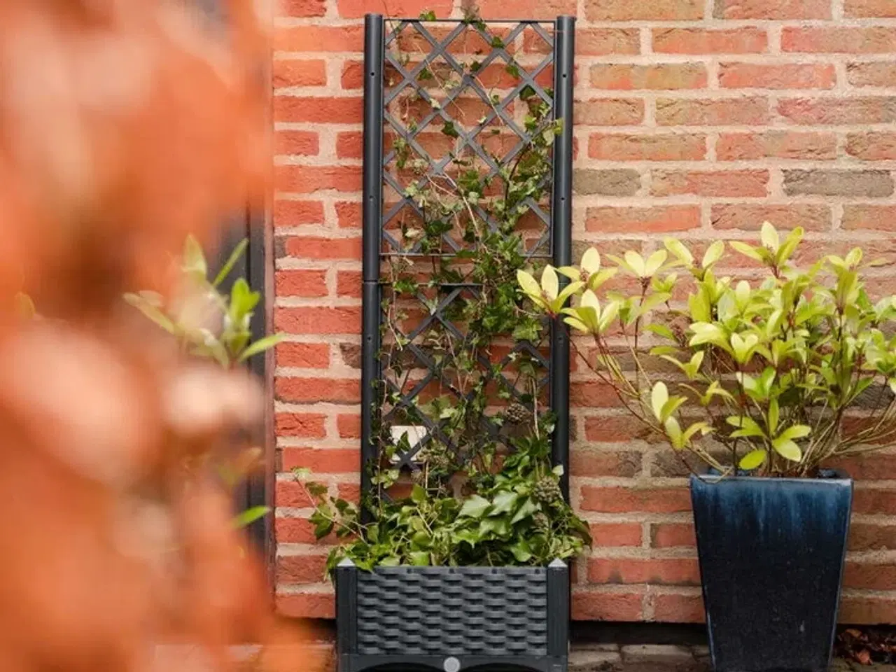Billede 6 - 2 stk.plantekasse med espalier(ubrugt)