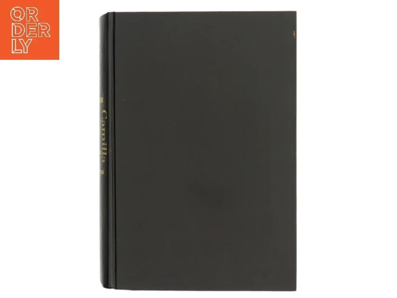 Billede 1 - Heksen (Bog)