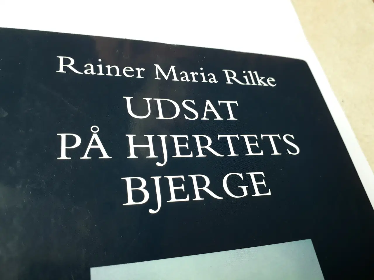 Billede 6 - Rainer Maria Rilke - Udsat på hjertets bjerge