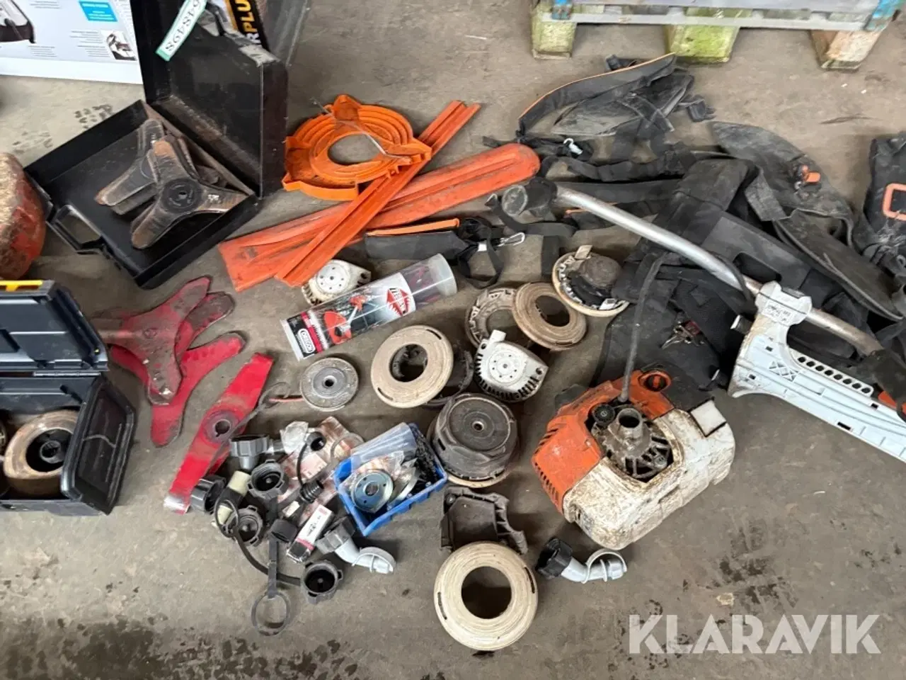 Billede 6 - Buskrydder lot