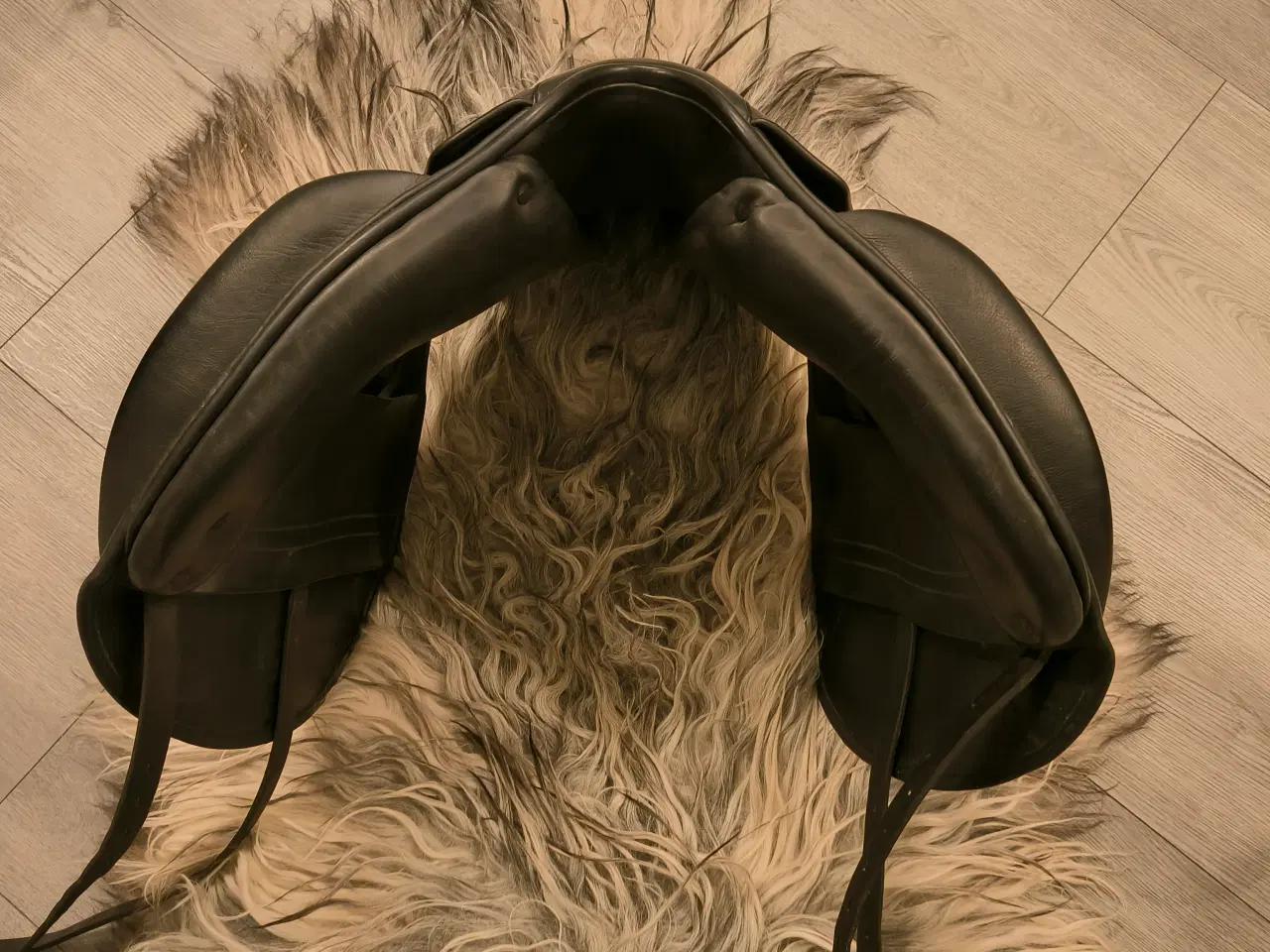 Billede 4 - Islændersadel Ástund Epona 