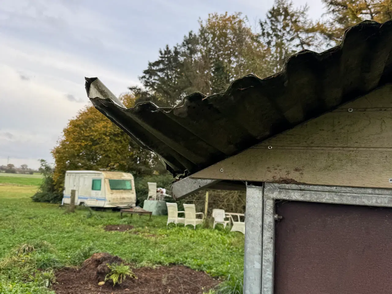 Billede 11 - Hesteskur