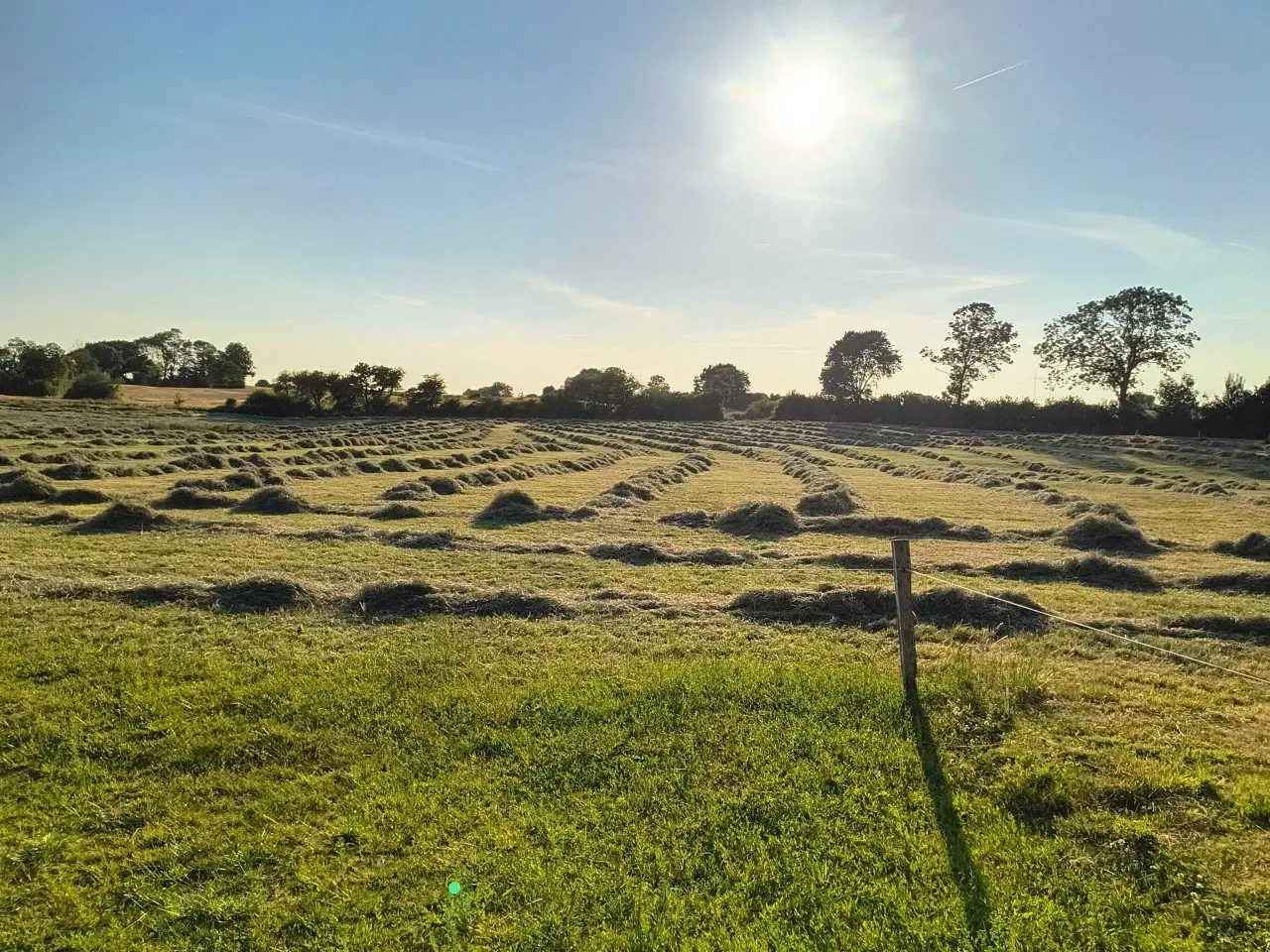 Billede 2 - Wrappet eng hø sælges