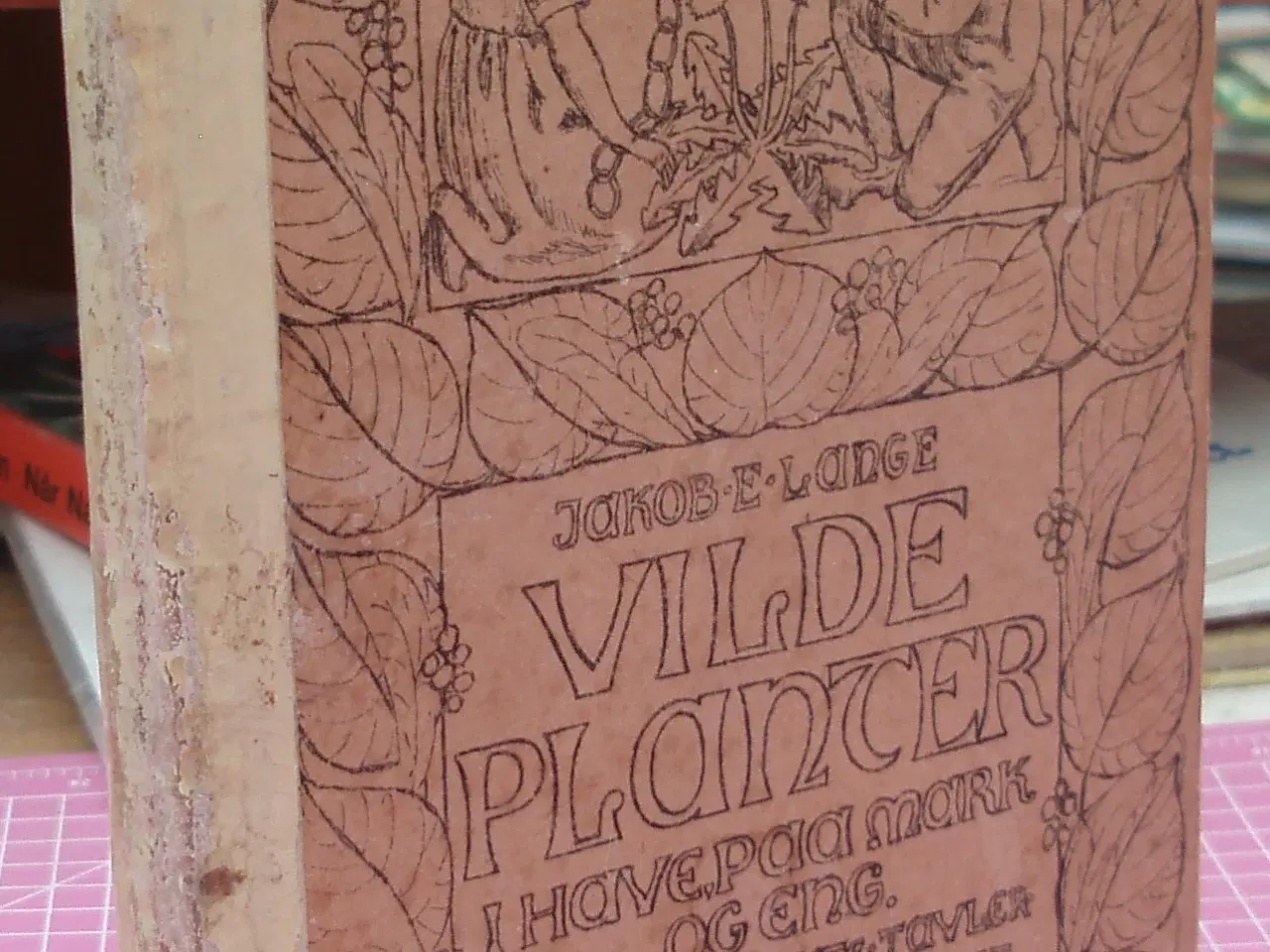 Billede 1 - Vilde Planter i have, paa mark og eng