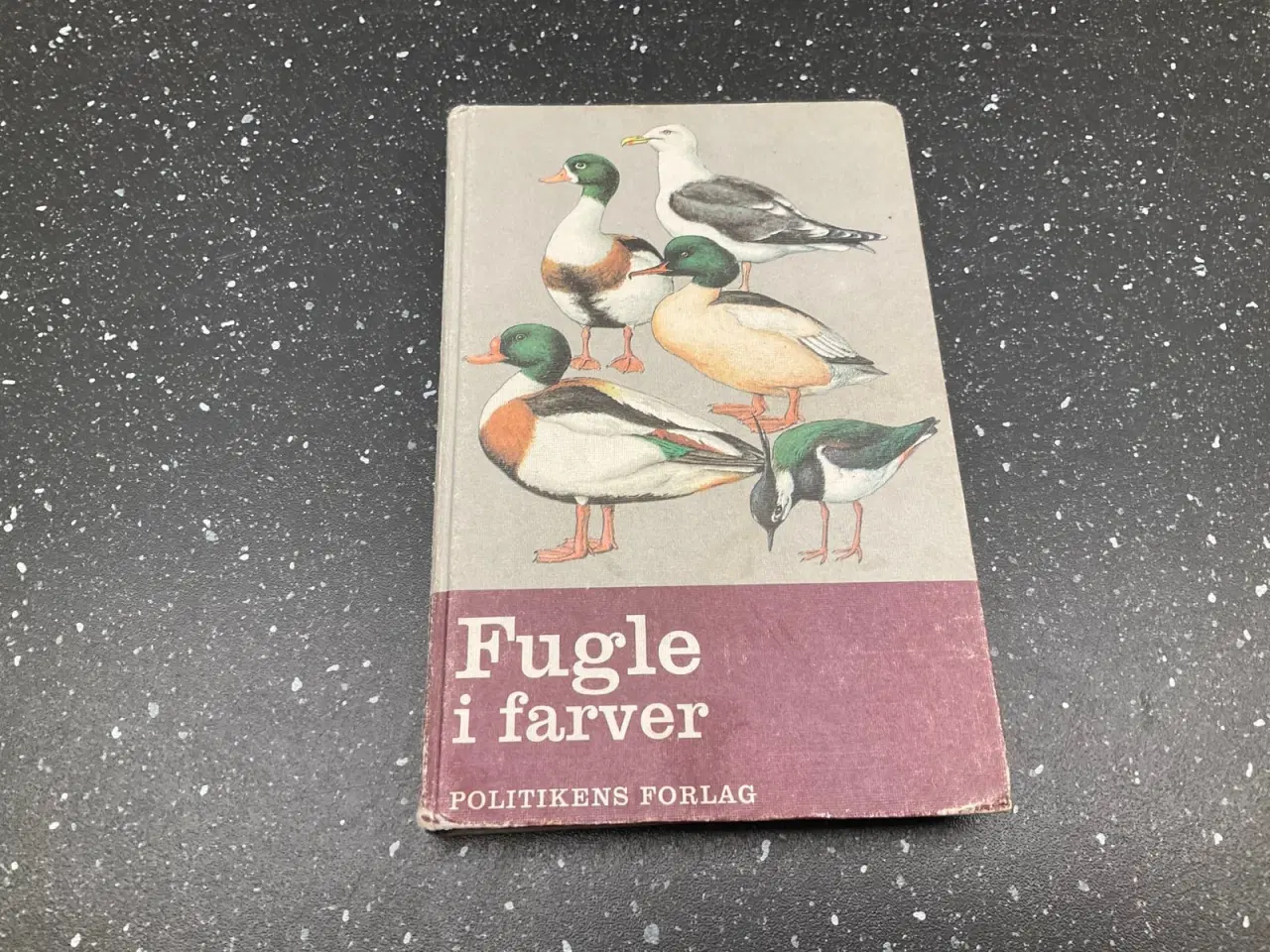 Billede 1 - Fugle i farver