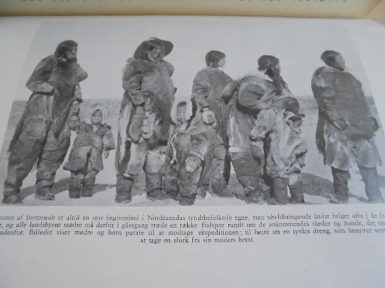 Billede 4 - Knud Rasmussen – Den store slæderejse –  fra 1960