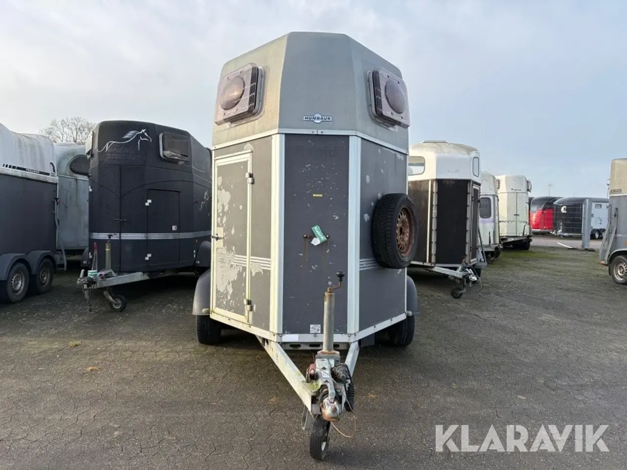 Billede 7 - Hestetrailer Humbaur Rapid
