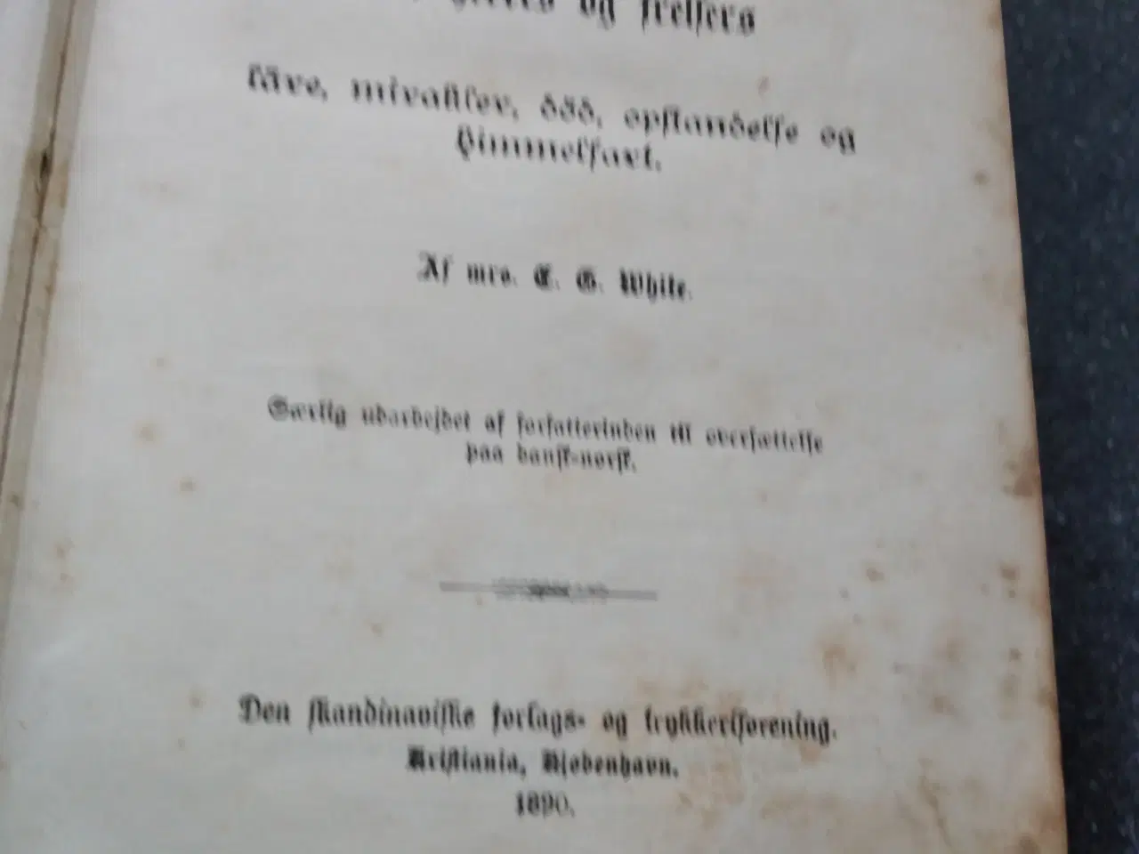 Billede 4 - E. G. White - Kristi Liv 1890.