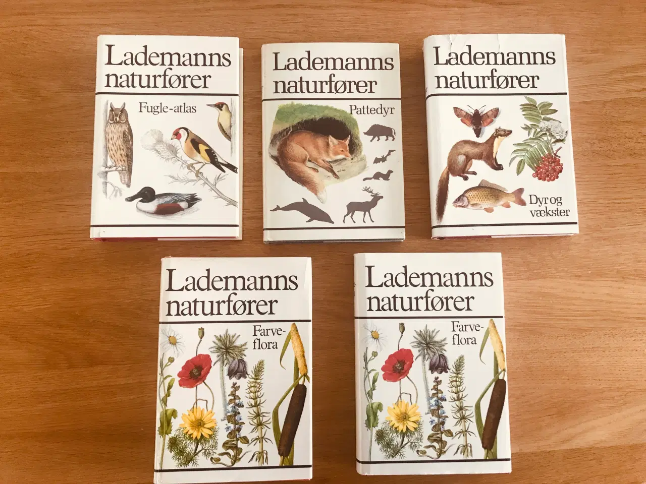 Billede 1 - Lademanns naturfører - 4 titler!