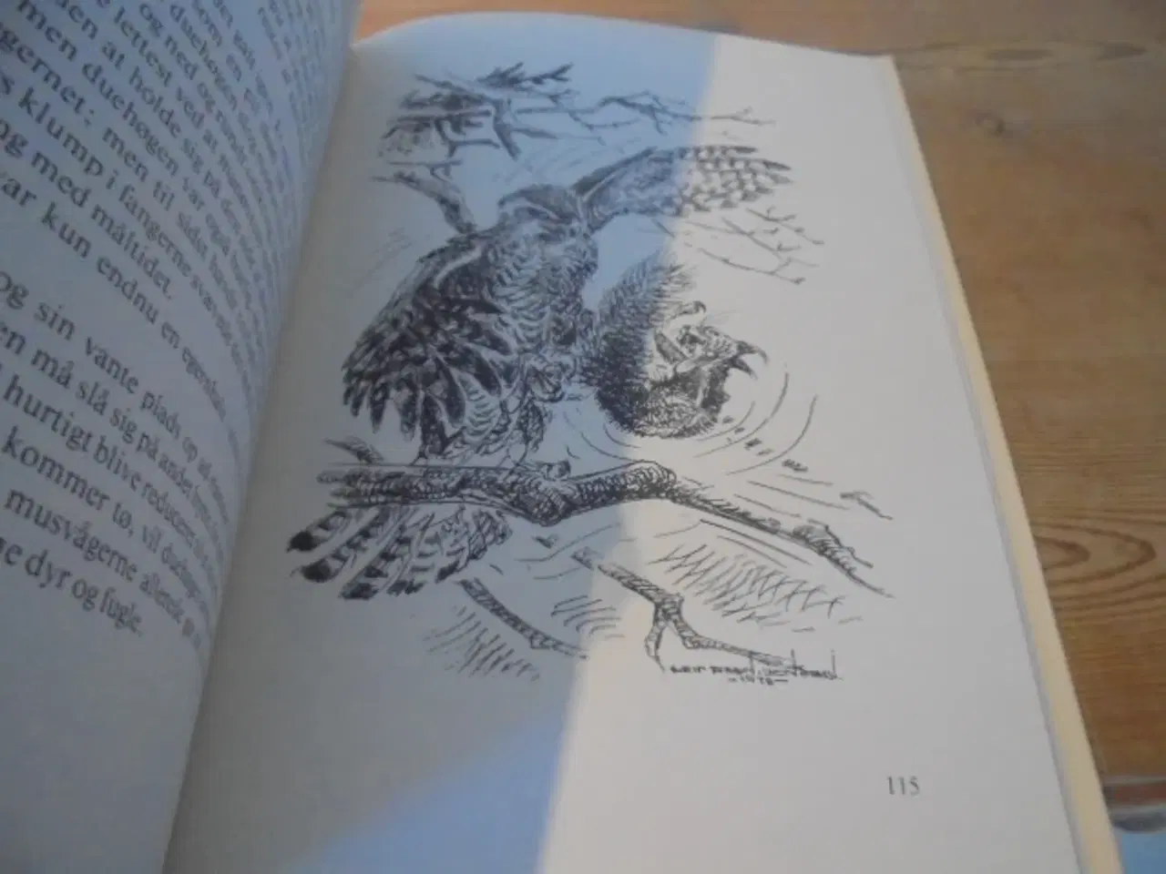 Billede 7 - Borris hede – se fotos og omtale