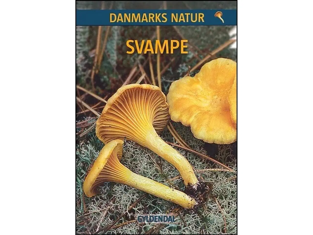 Billede 1 - Danmarks Natur - Svampe