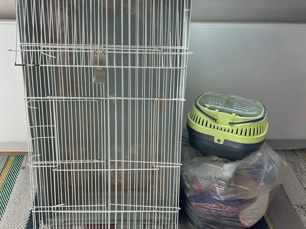 Billede 1 - Komplet marsvin sæt