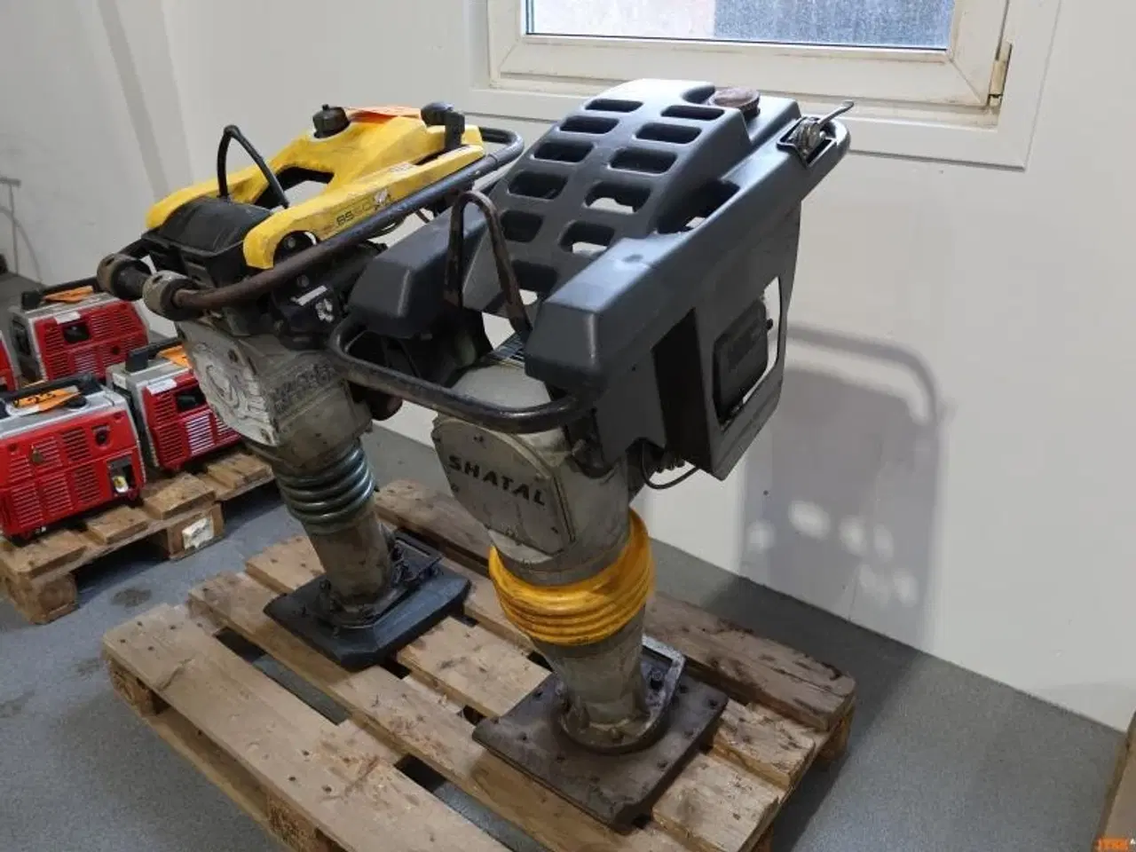 Billede 1 - JORDLOPPE, Shata