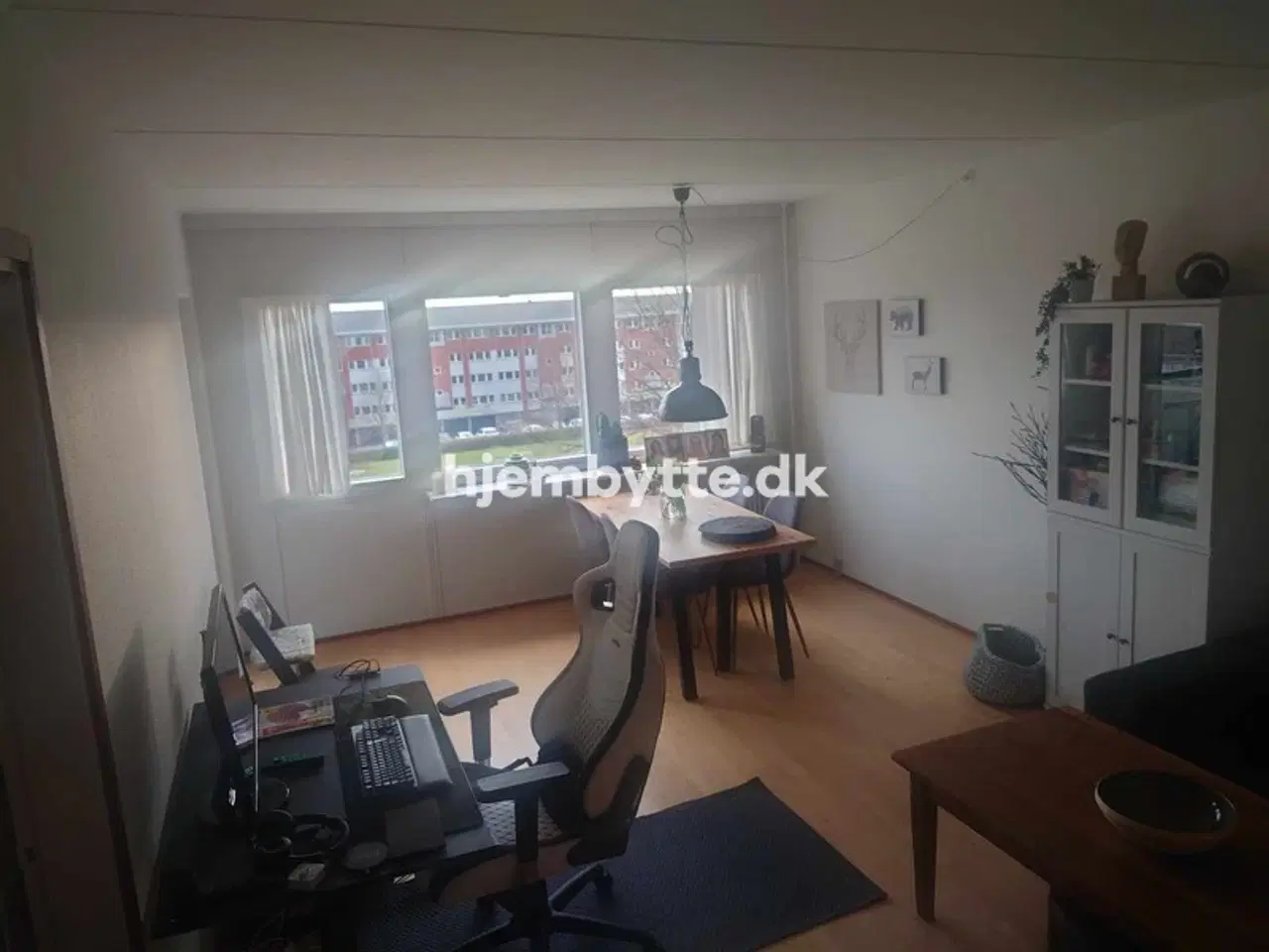 Billede 5 - Hjembytte - Magleparken