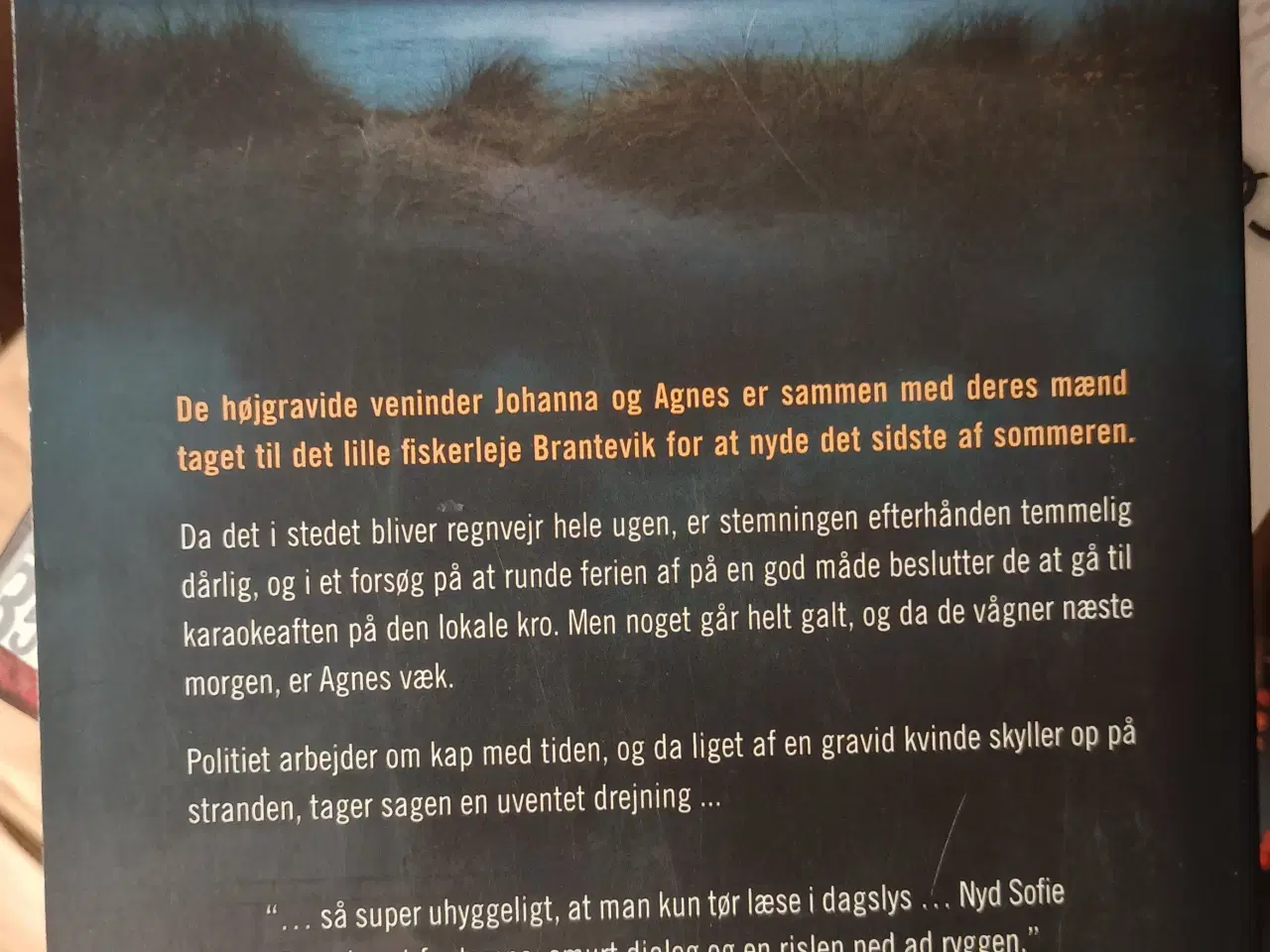 Billede 2 - Uge 36 af Sofie Sarenbrant.