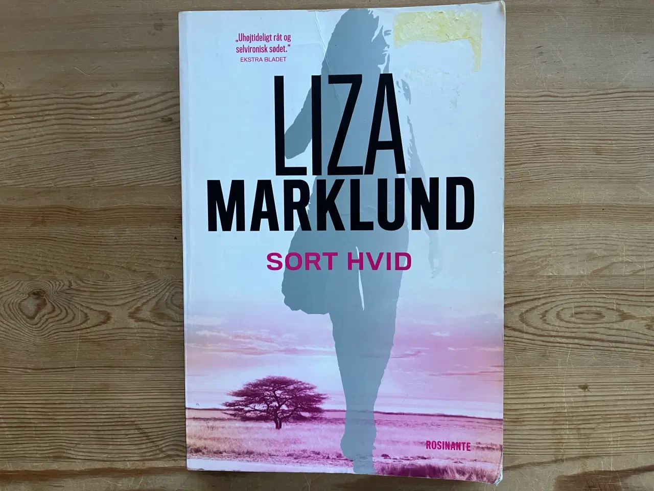 Billede 9 - Liza Marklund