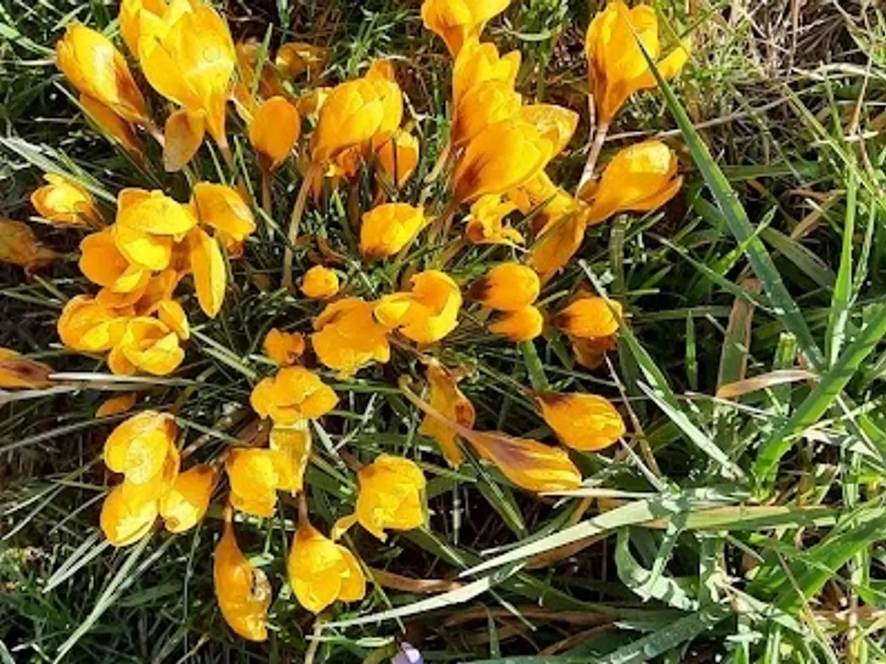 Billede 18 - Jagt ejendom på 11,2Ha, særligt natur og egen sø.