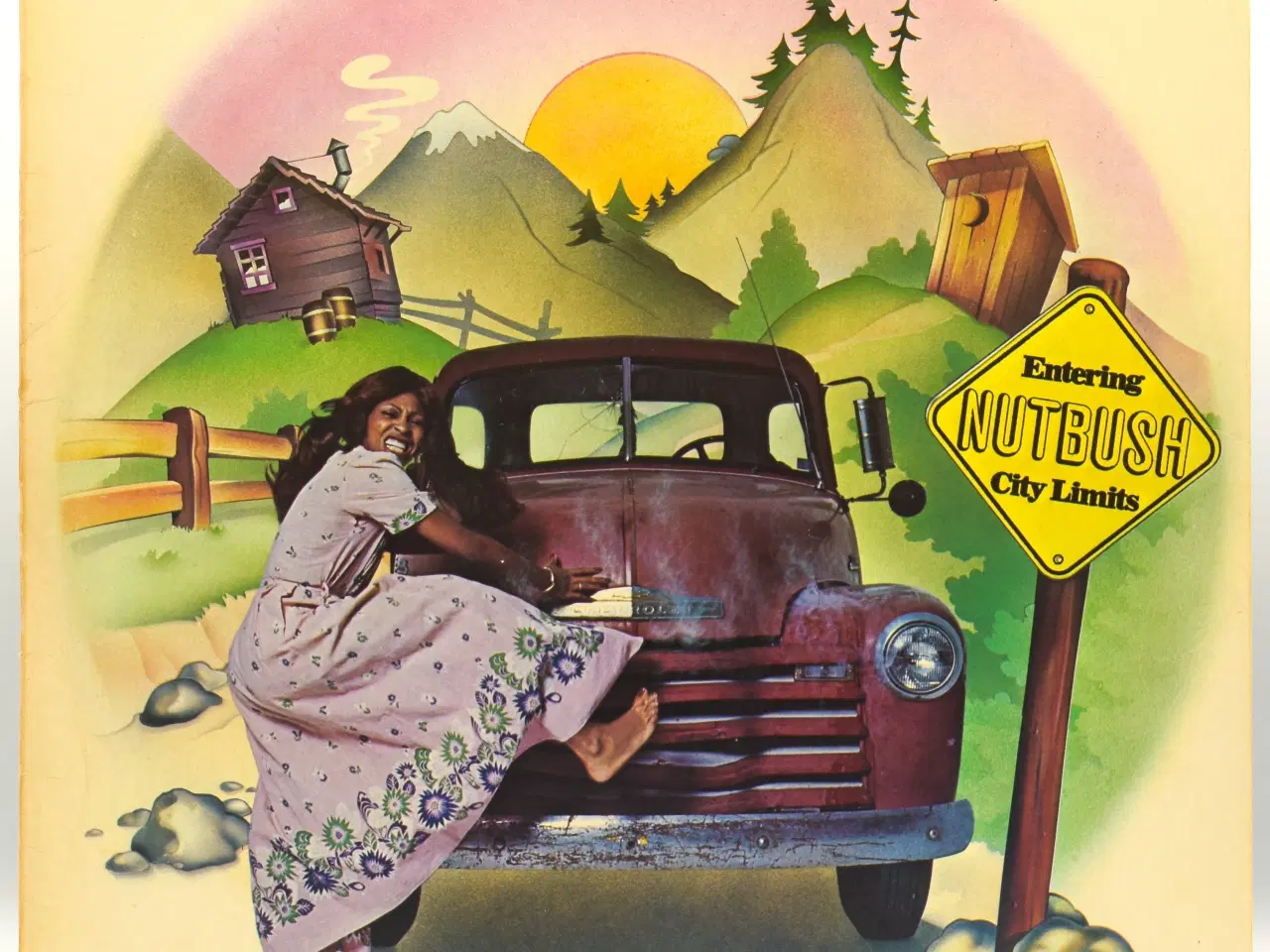 Billede 1 - Ike & Tina Turner - Nutbush City Limits - GER 1973