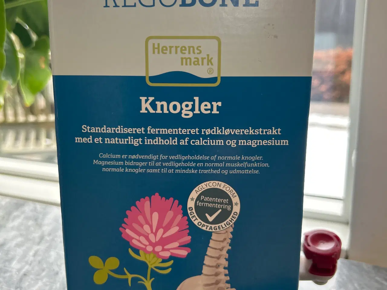 Billede 1 - Kosttilskud - Knogler