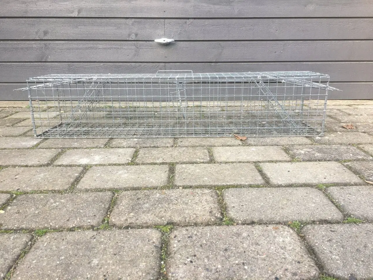Billede 3 - Mårfælde KUN UDLEJNING
