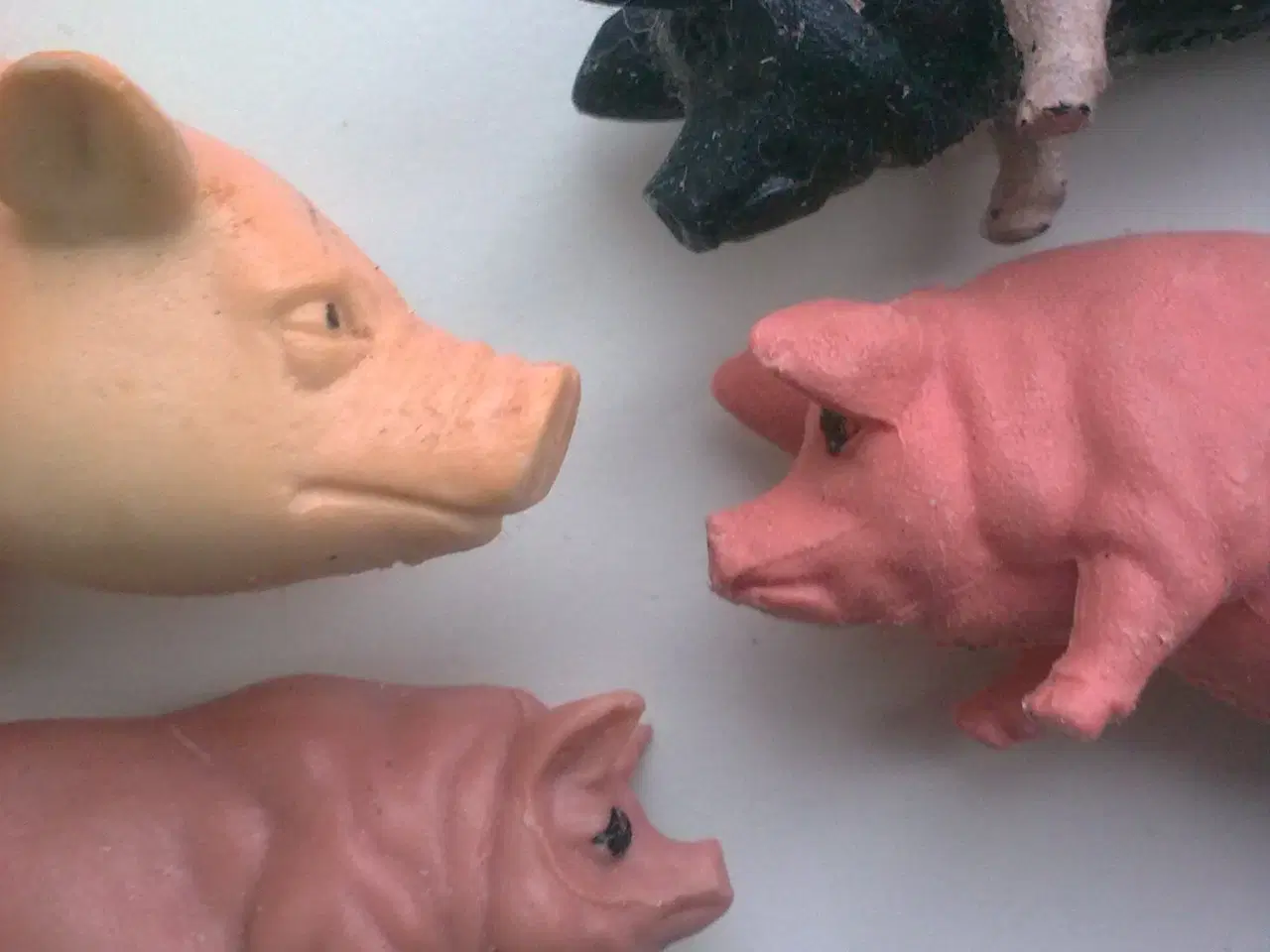 Billede 2 - Gris svin øf - griskunst med bonde M/K