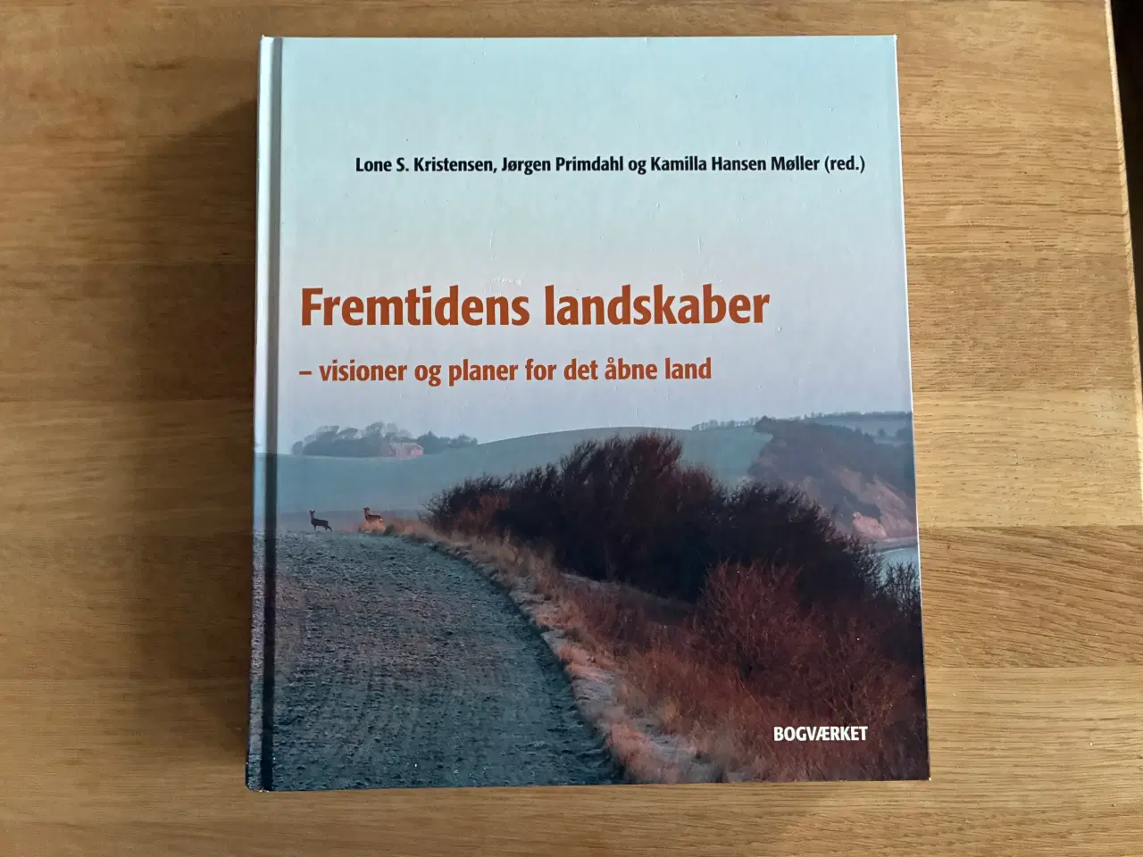 Billede 1 - Fremtidens landskaber - visioner og planer for det