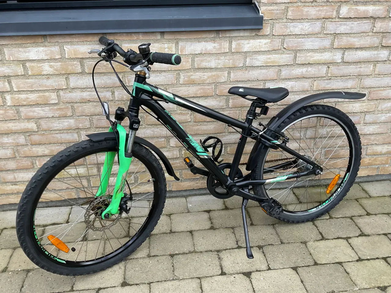 Billede 1 - 24” kildemose intruder 