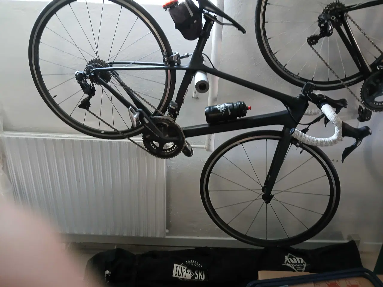 Billede 3 - Pigeracer Giant liv di2 