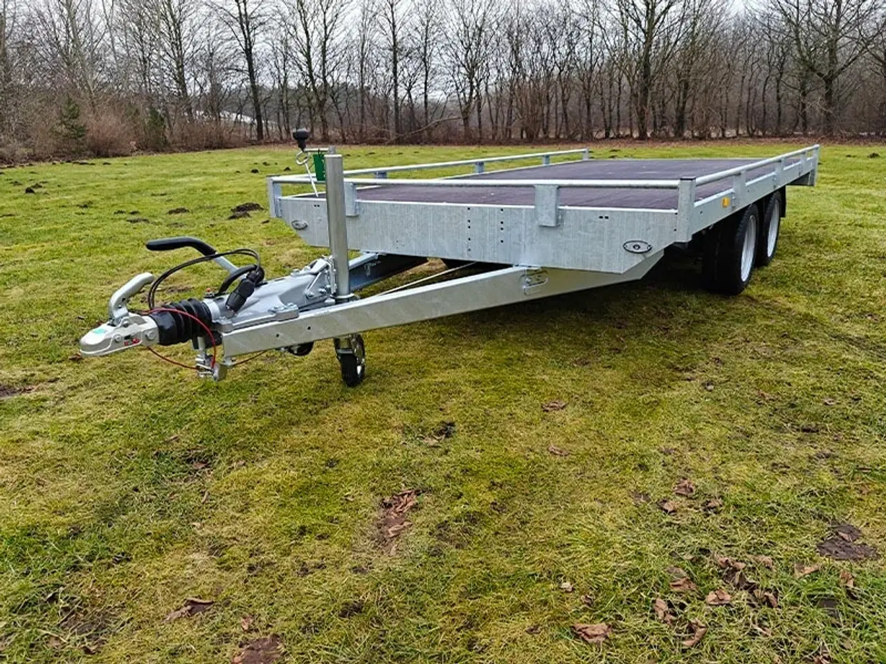 Billede 7 - Eduard trailer 4020-3500 Multi - Reiling