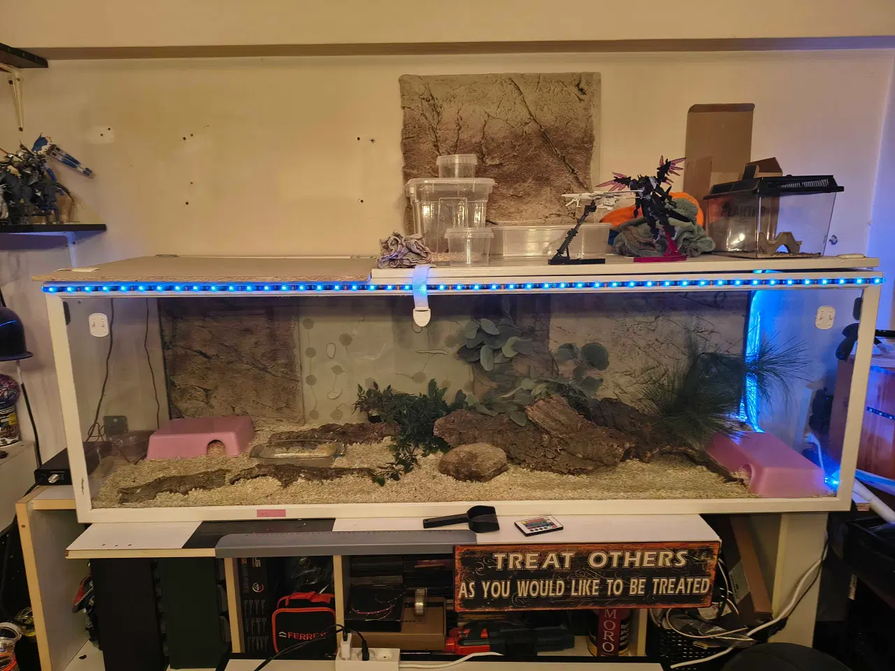 Billede 1 - Terrariet sælge uden inventar målene er 160*45*45