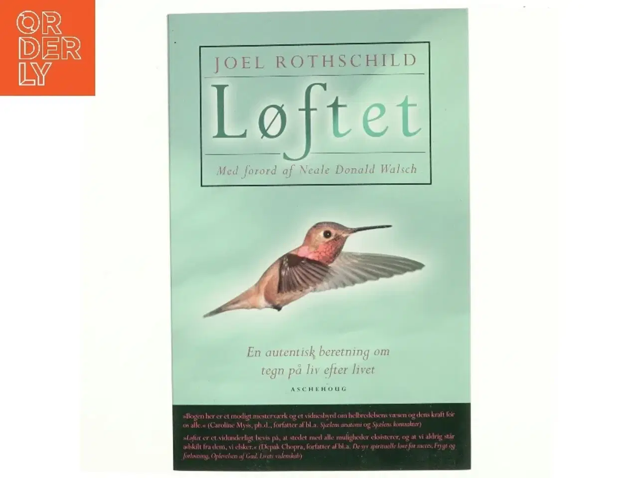 Billede 1 - Løftet : en autentisk beretning om tegn på liv efter livet af Joel Rothschild (Bog)