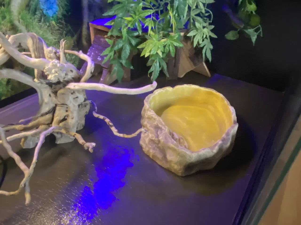 Billede 4 - Plug & play terrarie