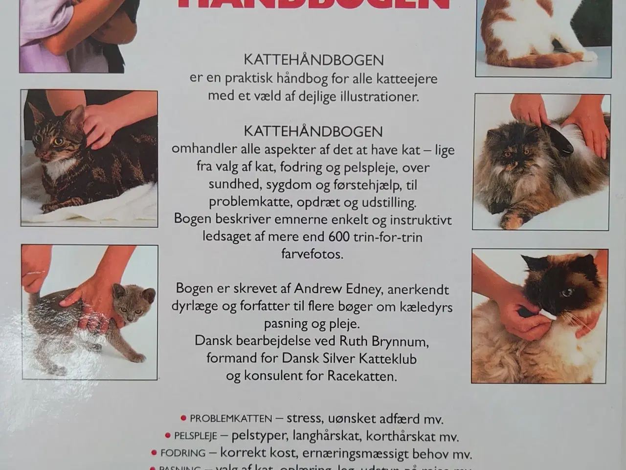 Billede 2 - Andrew Edney: Katte Håndbogen