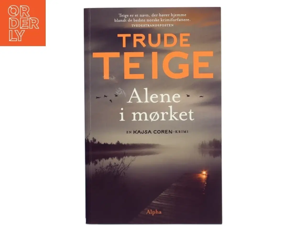Billede 1 - Alene i mørket af Trude Teige (Bog)