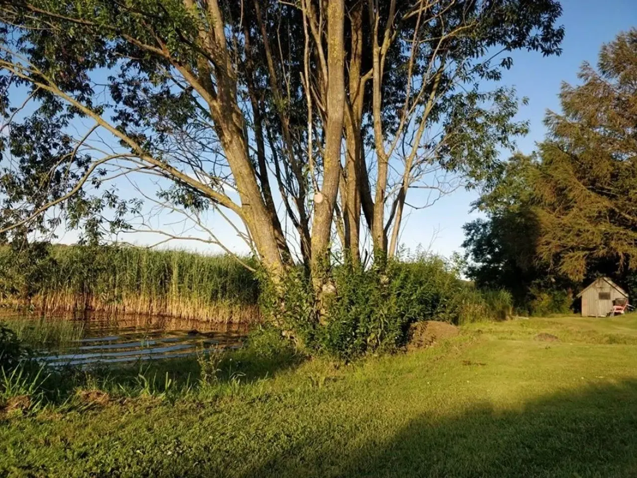 Billede 2 - Sk�n g�rd ved Glenstrup S�