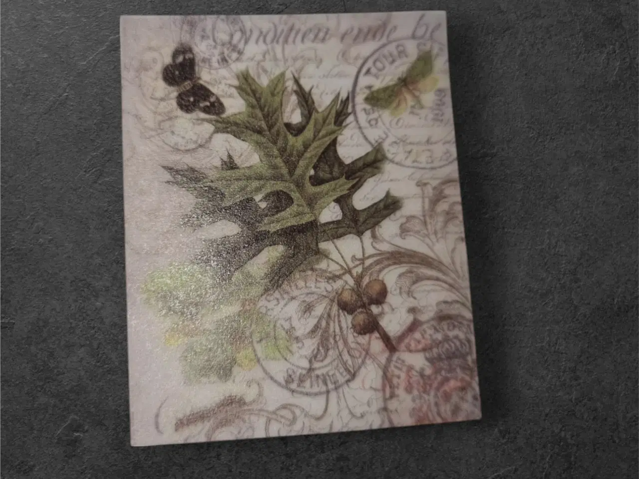 Billede 1 - Vintage botanisk tryk: "Edition Epide Be Tour 973"