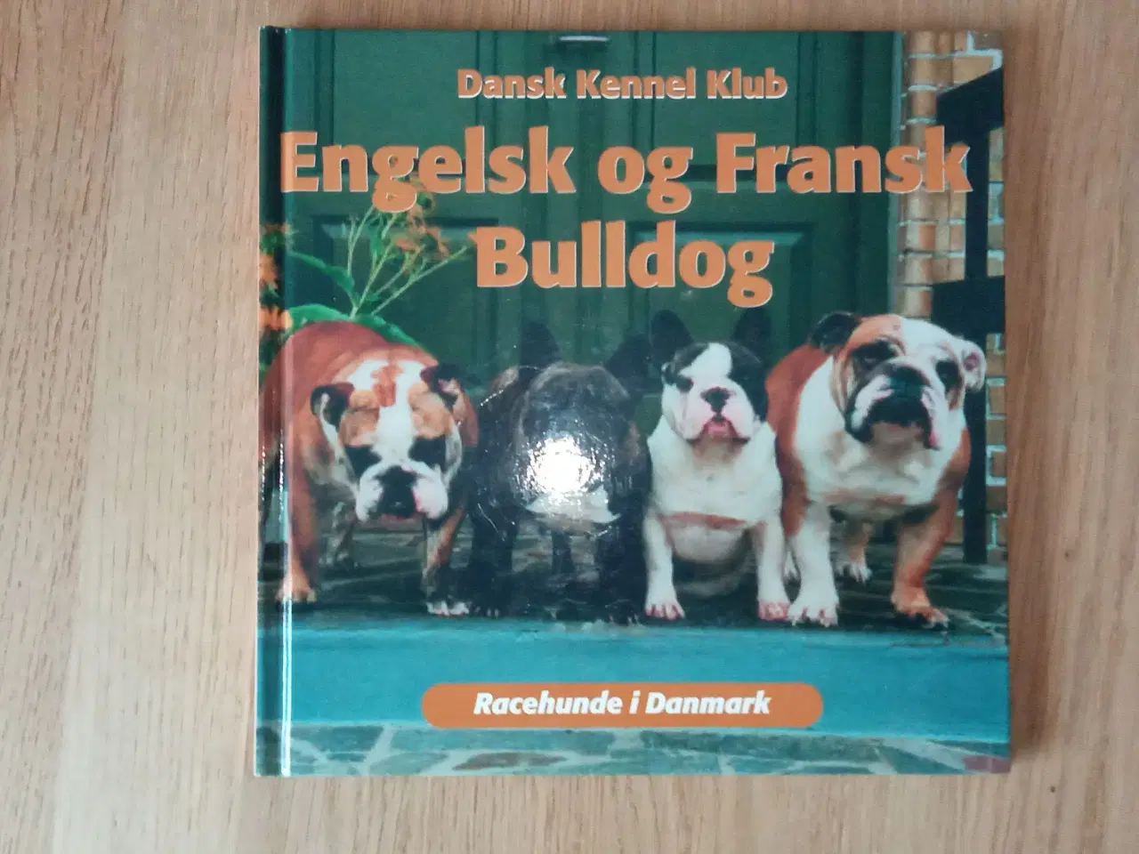 Billede 1 - Engelsk og Fransk Bulldog