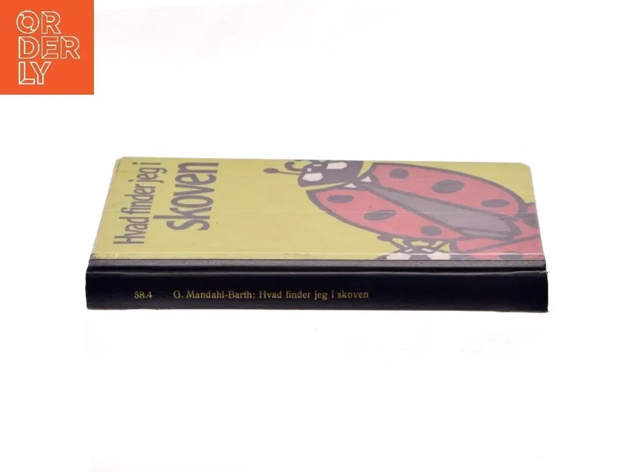 Billede 2 - Hvad finder jeg i skoven af G. Mandahi-Barth (Bog)
