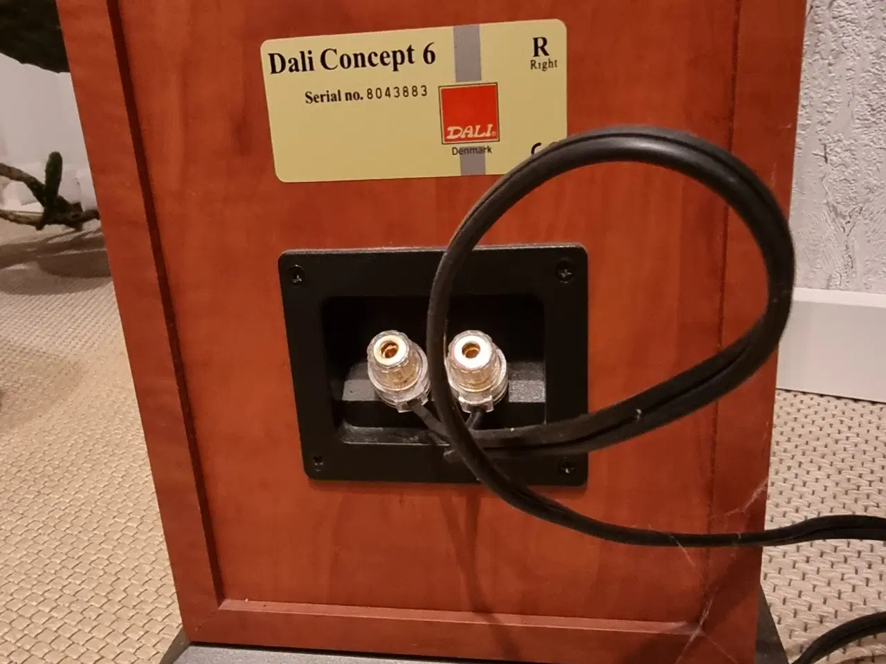 Billede 7 - Dali Concept 6. 2 front og 1 center.