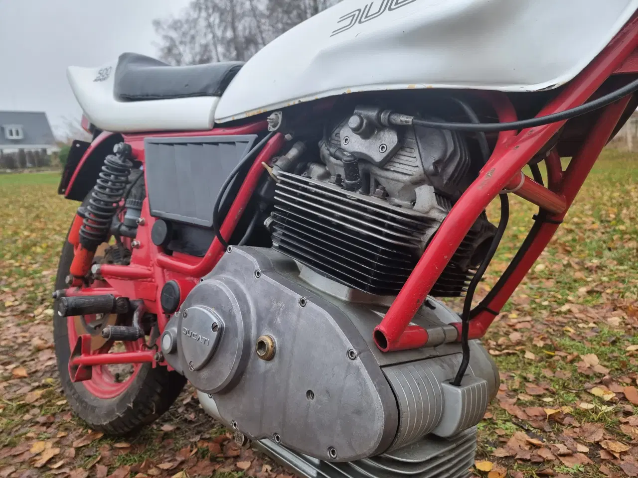 Billede 5 - Sjælden Ducati