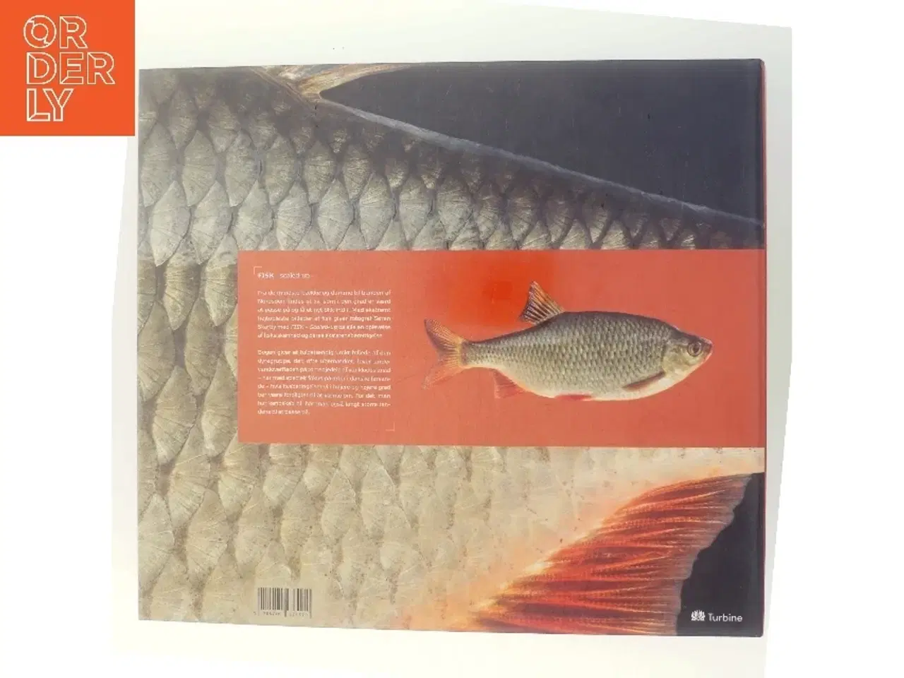 Billede 3 - Fisk Scaled-Up af Søren Skarby (Bog)