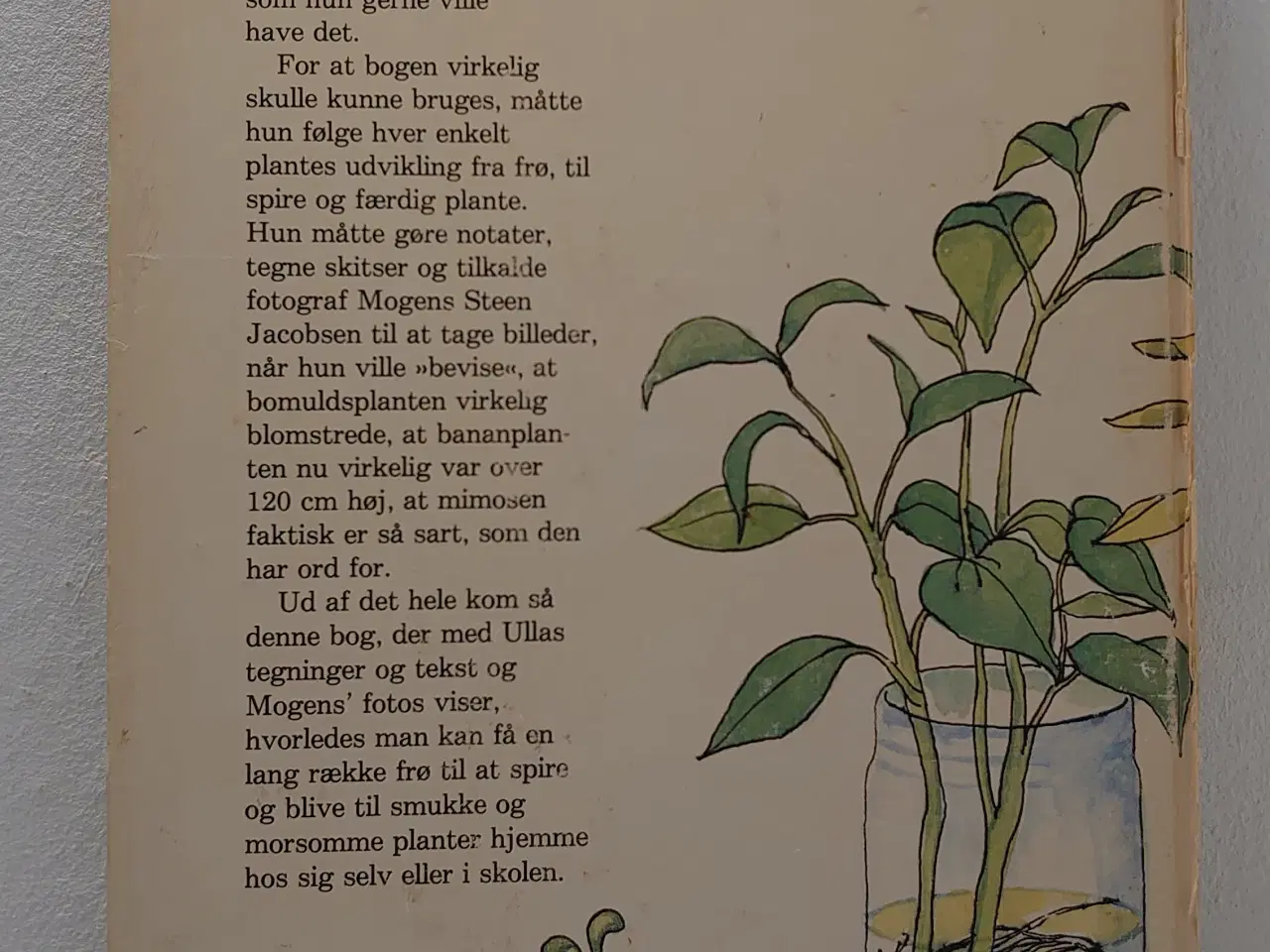 Billede 2 - Ulla Dietl: Spirebogen. Forlaget Komma 1982.