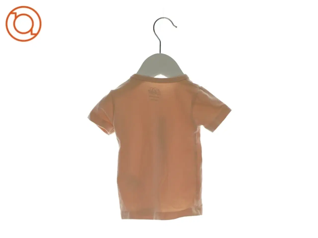 Billede 2 - T-shirt og shorts fra Petit (str 74)
