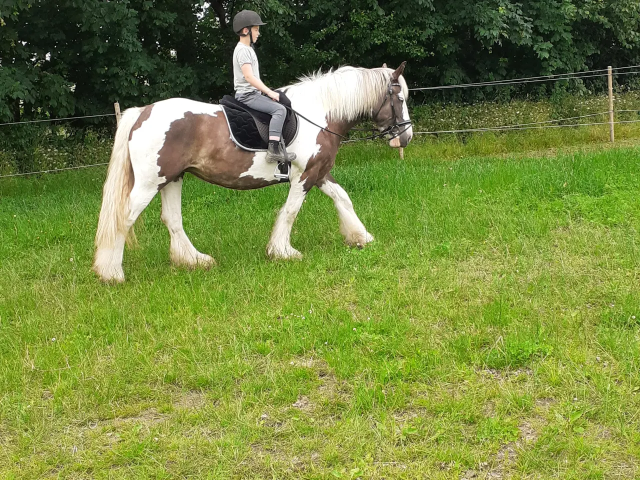 Billede 5 - Tinker hoppe 