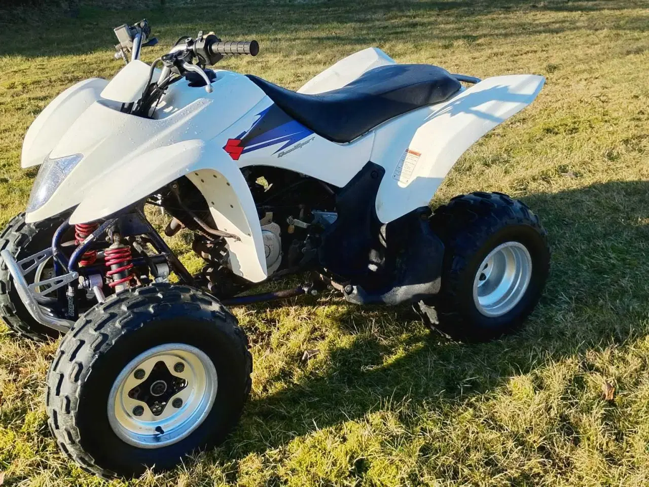 Billede 1 - Suzuki LT-Z 250 atv